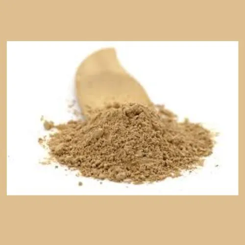 Brain Benefits of Lion's Mane Mushroom